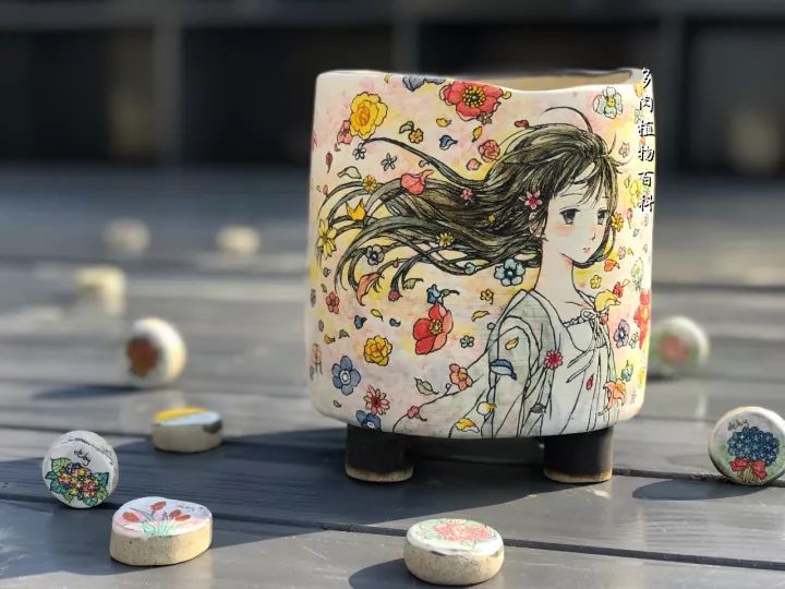 公认最美4种多肉植物图片,2014年上海多肉植物展图片