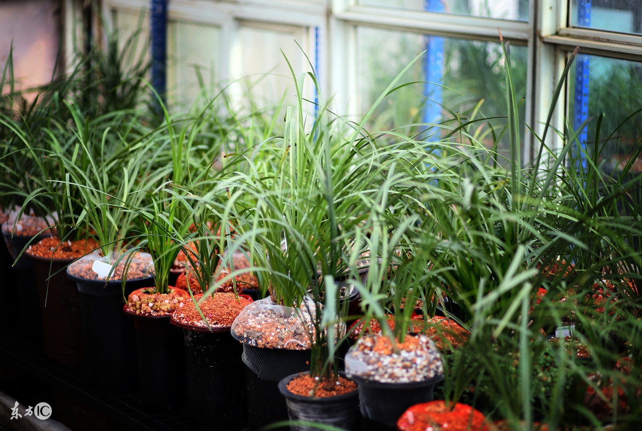 冬季室内干燥怎么办？说一说室内养生保健的方法