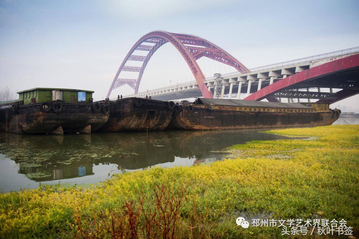 2017杏会邳州｜山东·王统武：邳州美景摄影作品欣赏