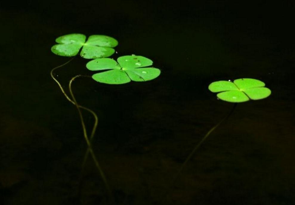 做人一定要提防小人,做人要小心谨慎