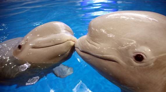 蓬莱是一个风景如画的地方,山东蓬莱有人间仙境吗