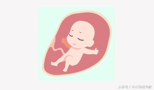 胎动怎么数正确方法,数胎动视频