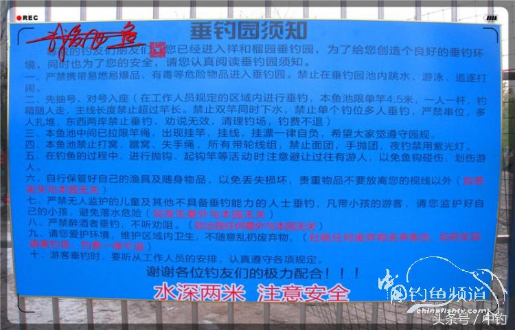 朋友相聚钓罗非,好友们相约一起钓鱼视频