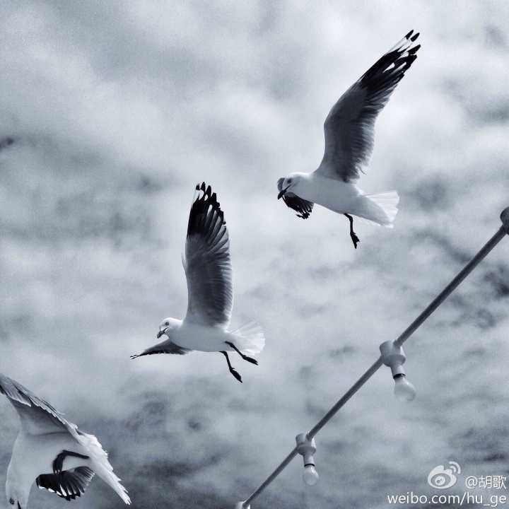 胡歌唱歌多好听,胡歌唱歌很好听吗