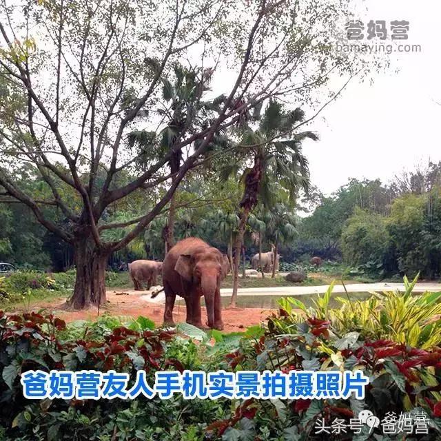 江浙沪十佳亲子酒店,适合亲子酒店推荐