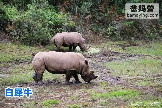 江浙沪十佳亲子酒店,适合亲子酒店推荐