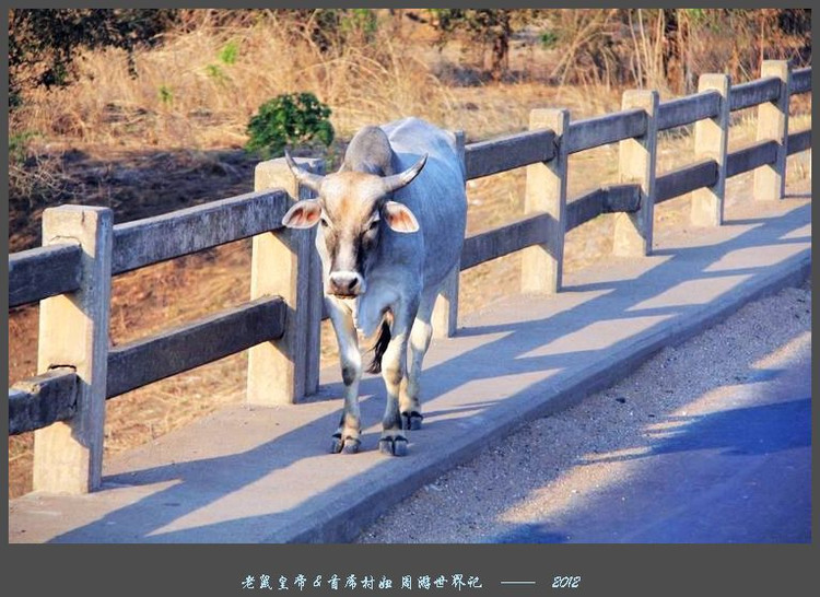 娲ュ反甯冮煢鎶楄闈炴硶鍒惰,娲ュ反甯冮煢涓轰粈涔堣鍒惰