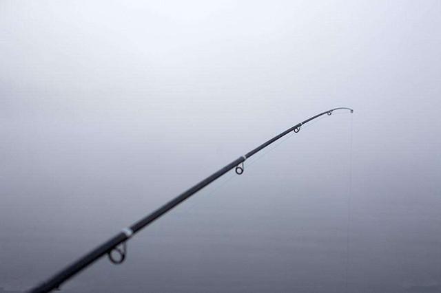 钓友认为哪种鱼最难钓,钓友心中最好的水线