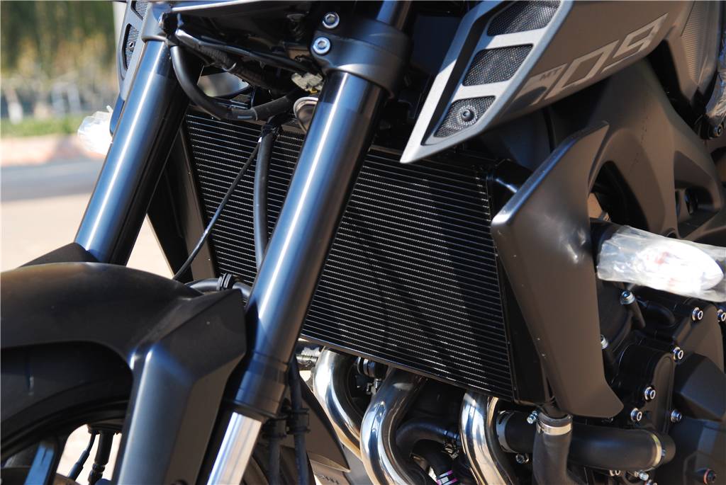 闆呴┈鍝坢t-09椹潵瑗夸簹,绮夎壊闆呴┈鍝坢t09