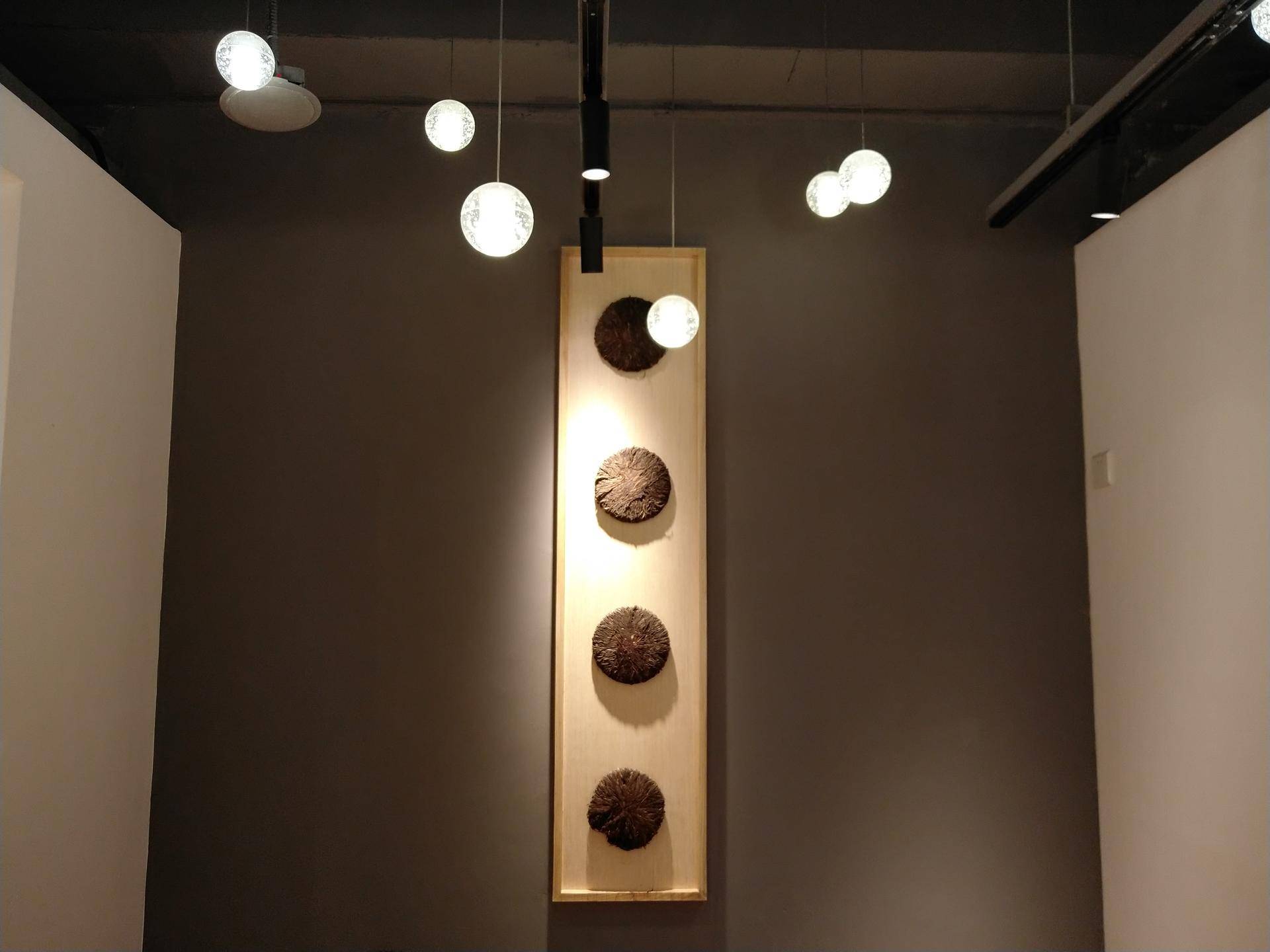 锤子坚果pro2s测评照片,坚果pro2s拍照小白测评