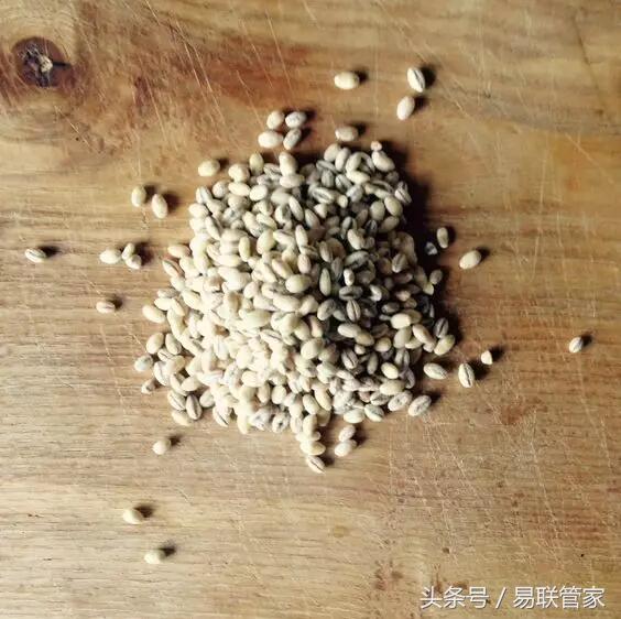 产后修复与月嫂哪个更有前景,产后修复中医手法有效果吗