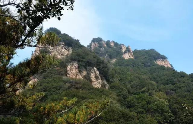 板栗树林旅游攻略,陕西板栗之乡风景图