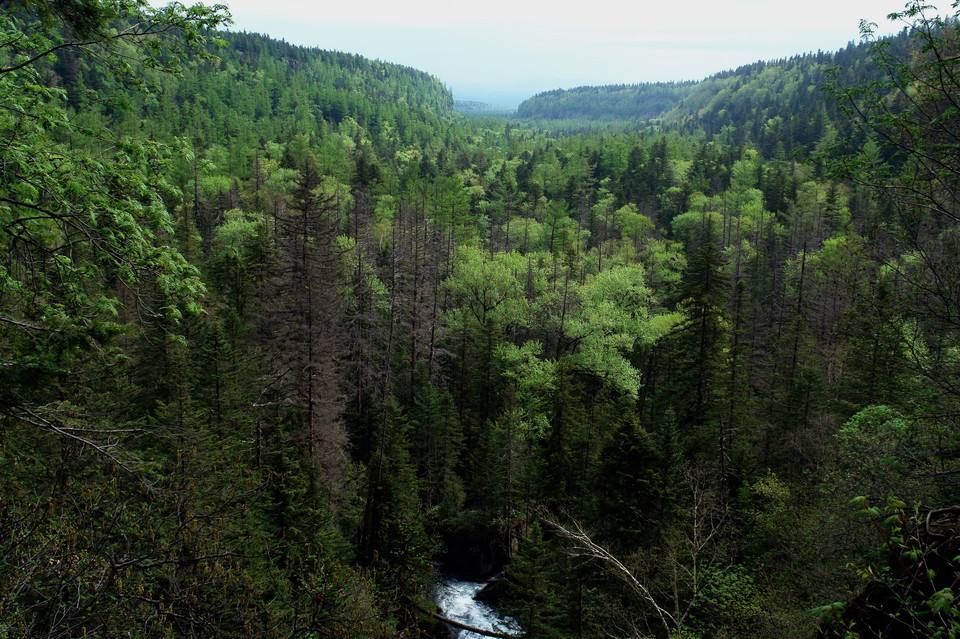 幽灵冢（祖号星期天天）