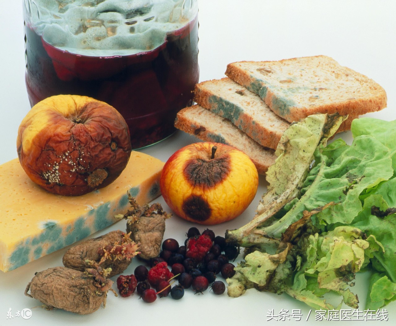 发芽的土豆毒性有多大,土豆长出来有毒吗