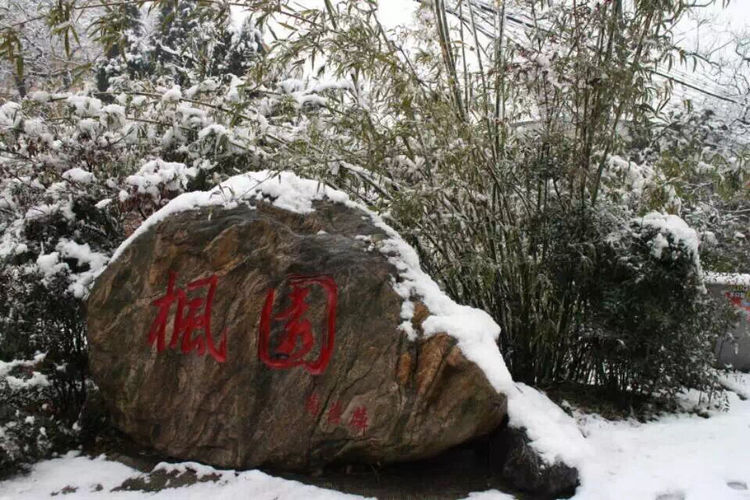 十大最美校园深圳大学,探访最美大学武汉大学