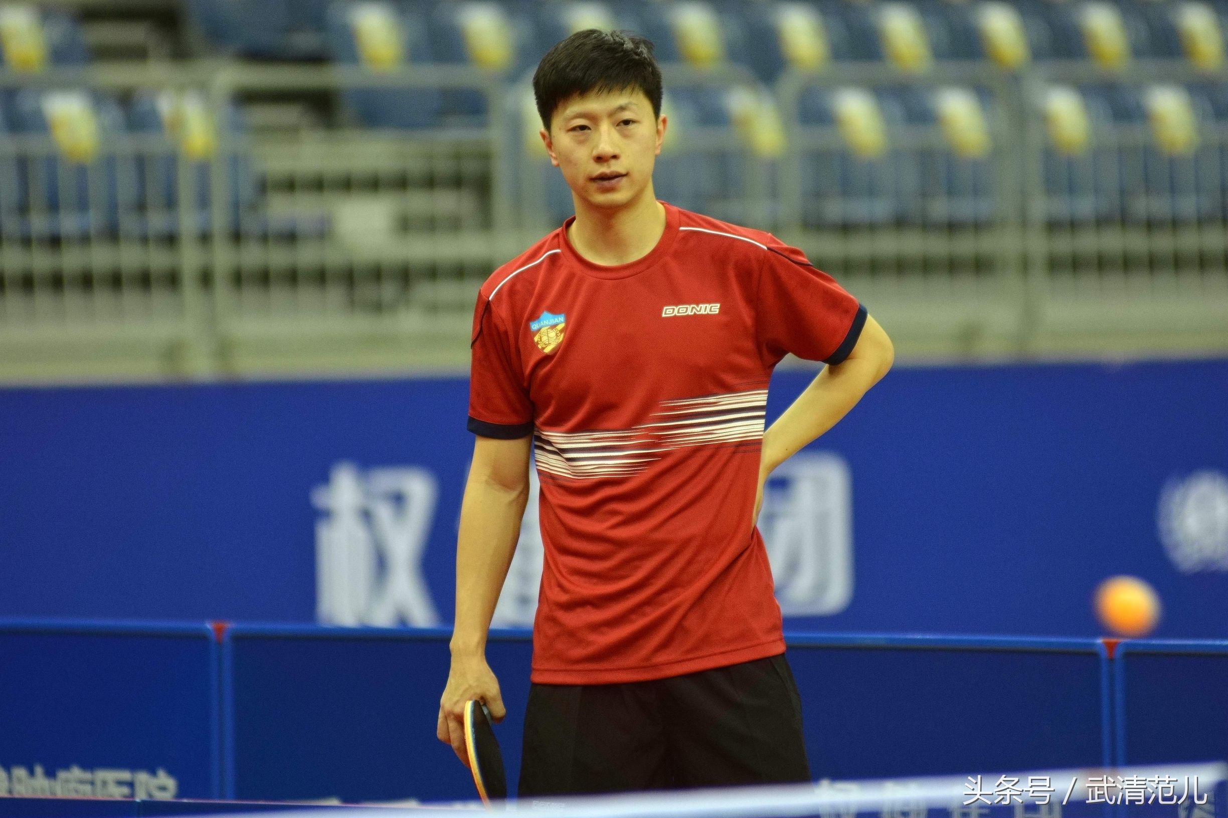 马龙亮相权健,马龙天津权健主场