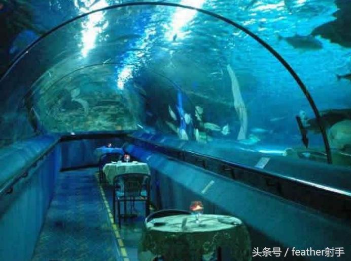 北京海洋馆和上海海昌海洋馆,北京海洋馆中华鲟馆