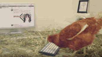 整理常用的ps快捷键,非常好用的ps快捷键技巧