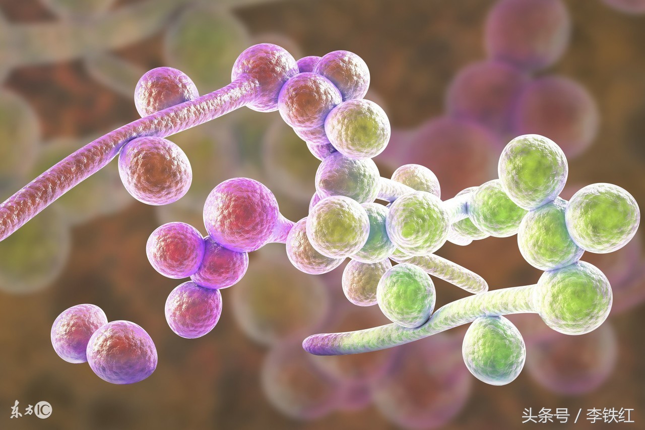 直肠癌转移到肺部中医怎么治疗,80岁老人直肠癌晚期中医治疗