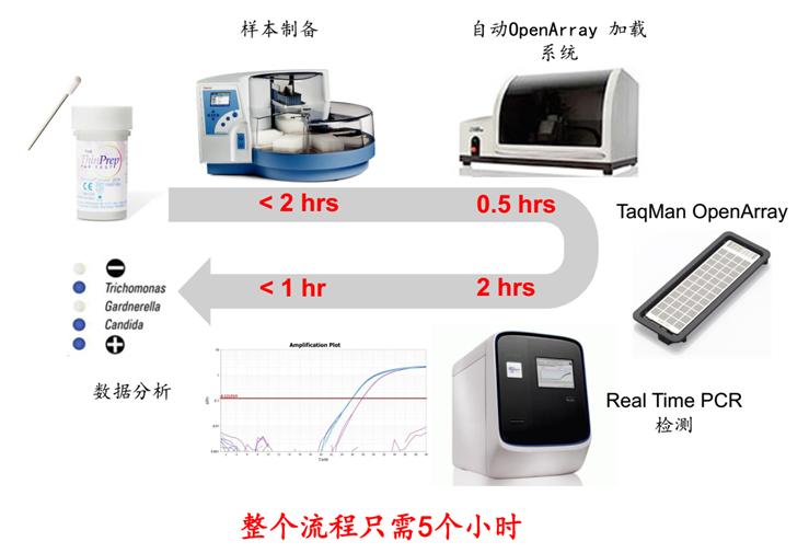 妇科感染病原的精准诊断