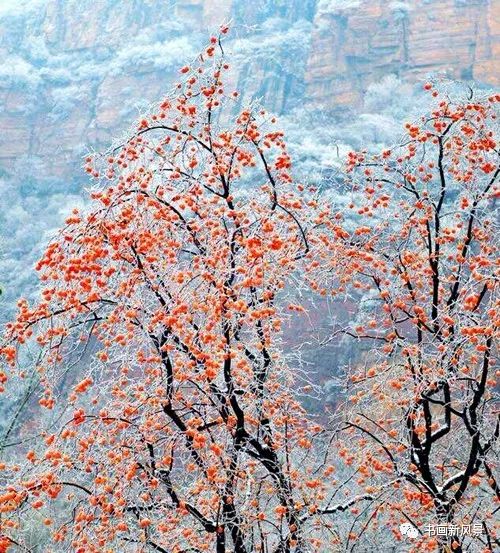白里透红美颜,白里透红娇颜