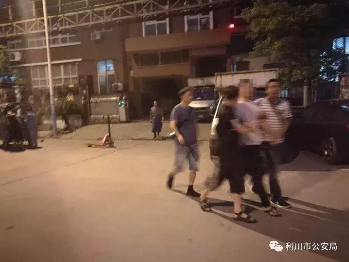 非法制贩枪支案,利川特大制毒贩毒案件