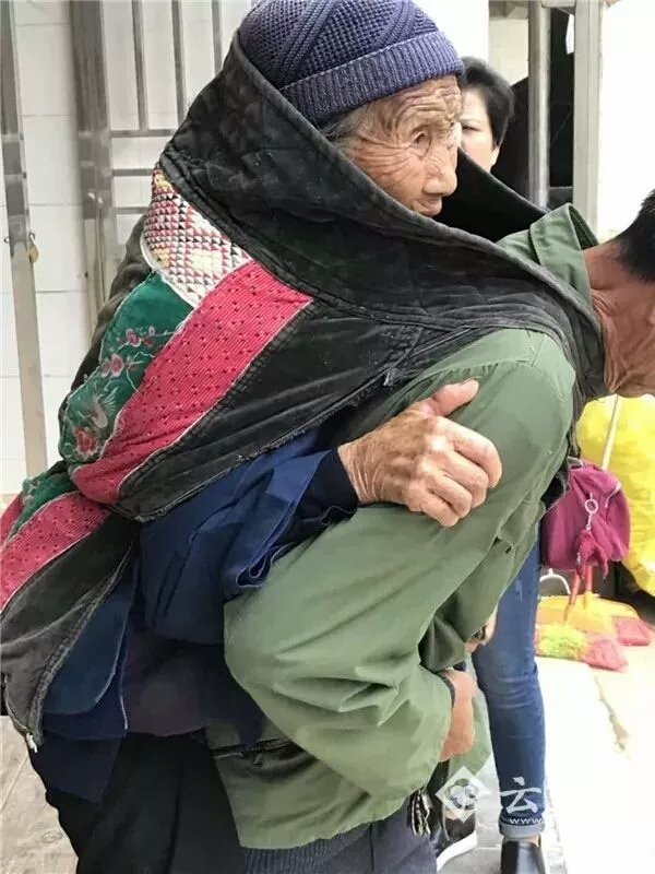 因为你一直在成长,因为你一直在我心中吉他谱