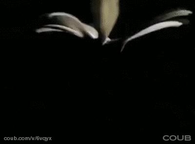 植物传播种子的方法有哪些二年级,植物的果实和种子传播方式有哪些