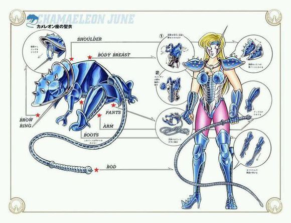 最没存在感的圣斗士星座排行,圣斗士88星座里的四个特殊星座