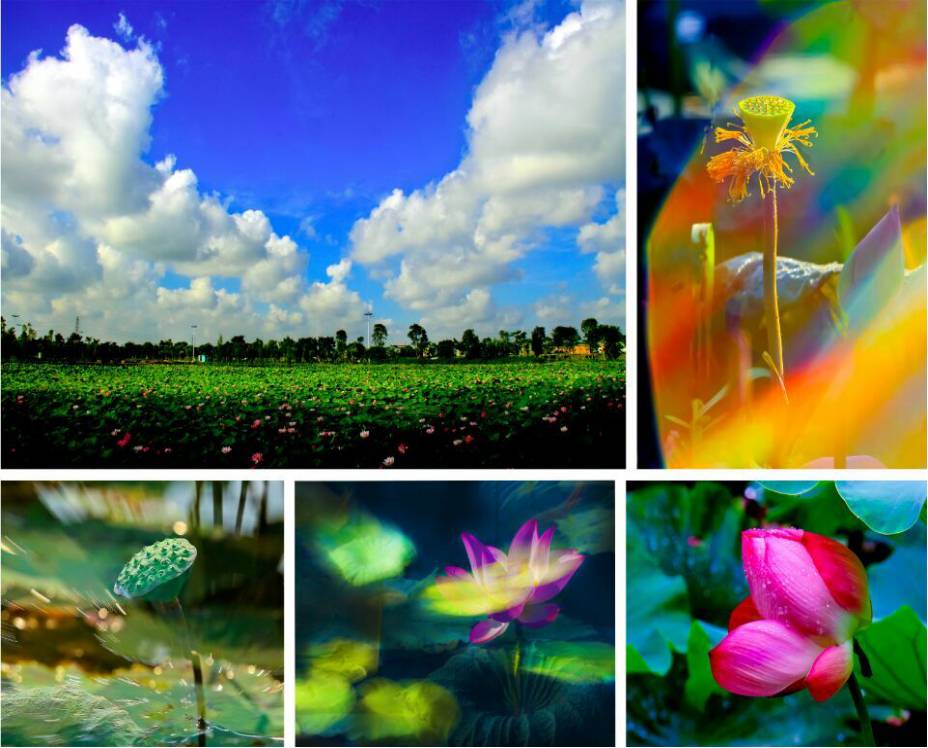 对话｜中山“北大门”东凤镇将要迎来新一轮的大升级！听杨安队说了什么？