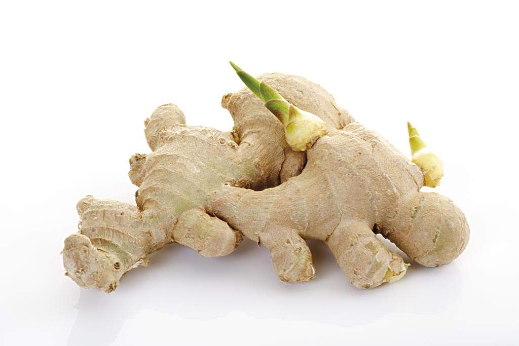 姜种植盆栽方法,姜种植方法盆栽