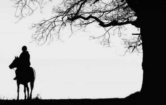 三十而立四十不惑人生感悟古文,人生四十感悟诗