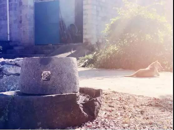 天赋城堡创造营，原乡上林良水2017冬令营