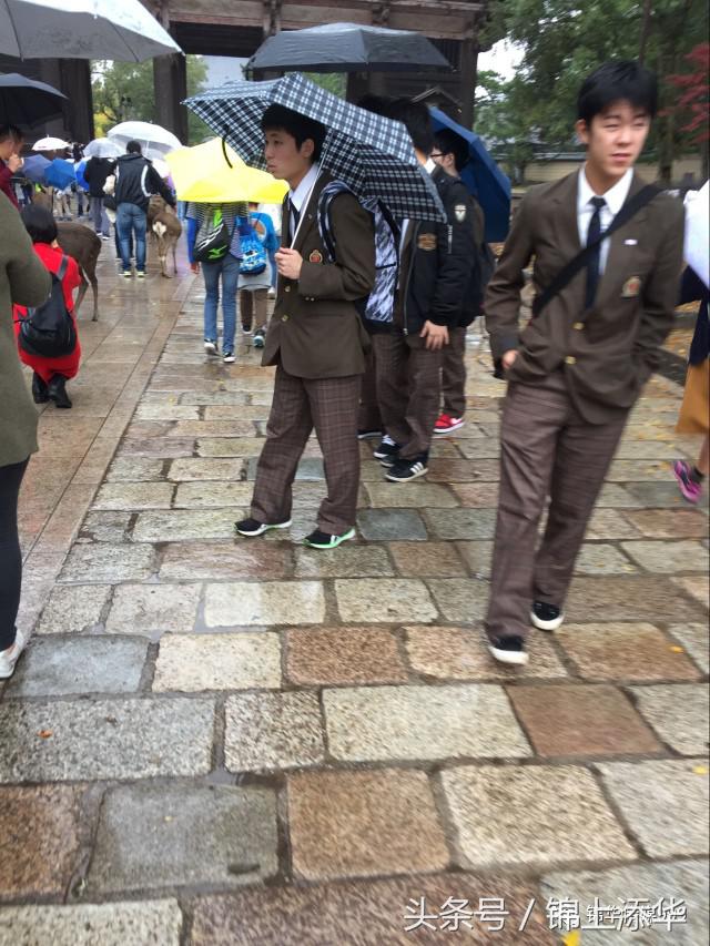 去日本旅游最新攻略,去日本旅游最详细攻略