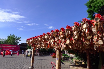 抗击肝癌最佳方案,抗肝癌良方