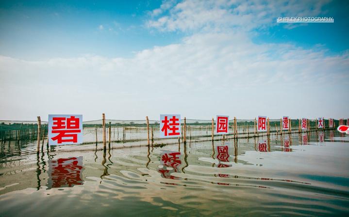 吃蟹游玩攻略,一场关于上海的旅行