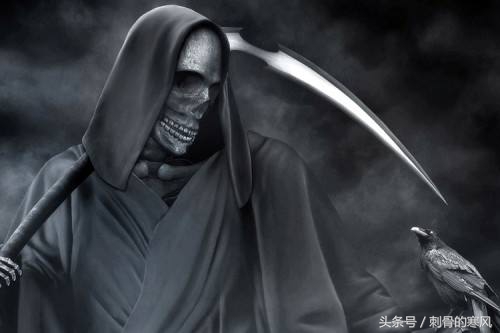 美国血腥电影解说,日本血腥变态电影