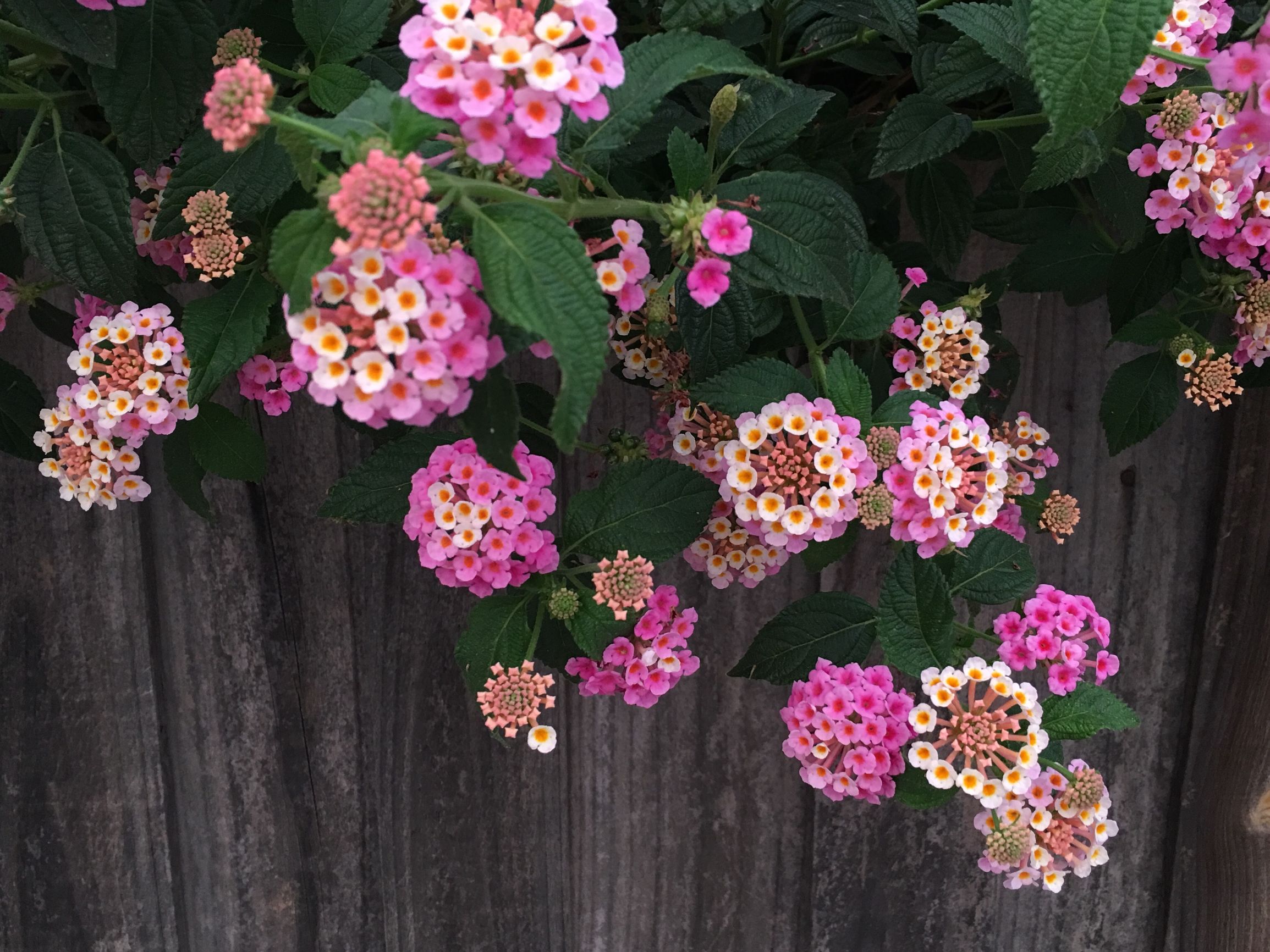 手拍世界作品交流平台,手拍世界摄影网站