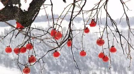 人教版七年级上册Unit6,人教版七年级上册unit1视频