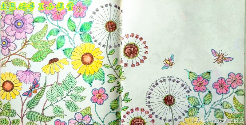 玩秘密花园涂色本,秘密花园涂色本可爱