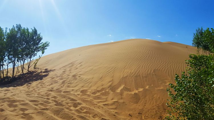 恩格贝沙漠自驾游,走进原始森林房车游记
