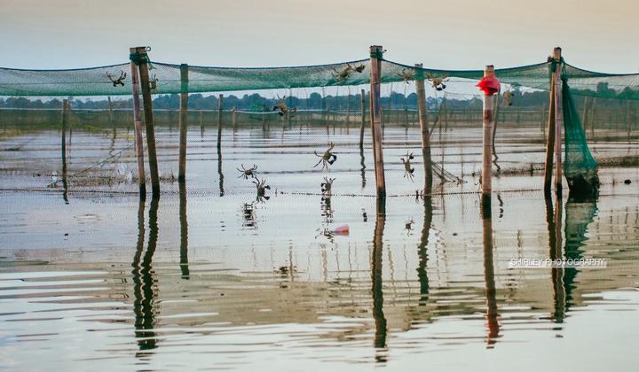 吃蟹游玩攻略,一场关于上海的旅行