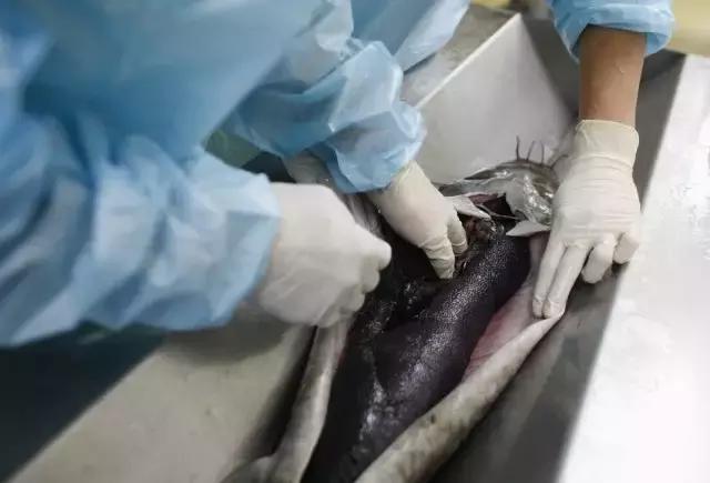 世界顶级鱼子酱多少钱一克,顶级鱼子酱一盎司多少钱