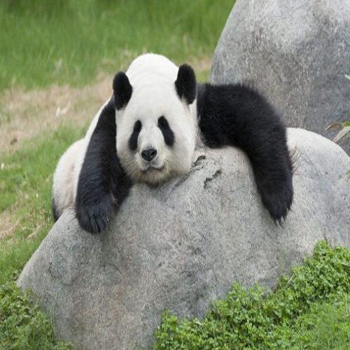 pythonscipy库怎么下载,python怎么安装scipy库