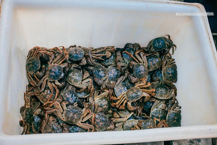 吃蟹游玩攻略,一场关于上海的旅行