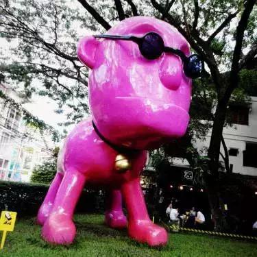 看到好看的店就想去打卡,泰国清迈附近的网红店