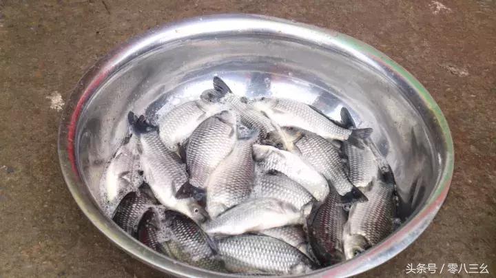 南溪长兴赶场,南溪区南溪镇赶集视频