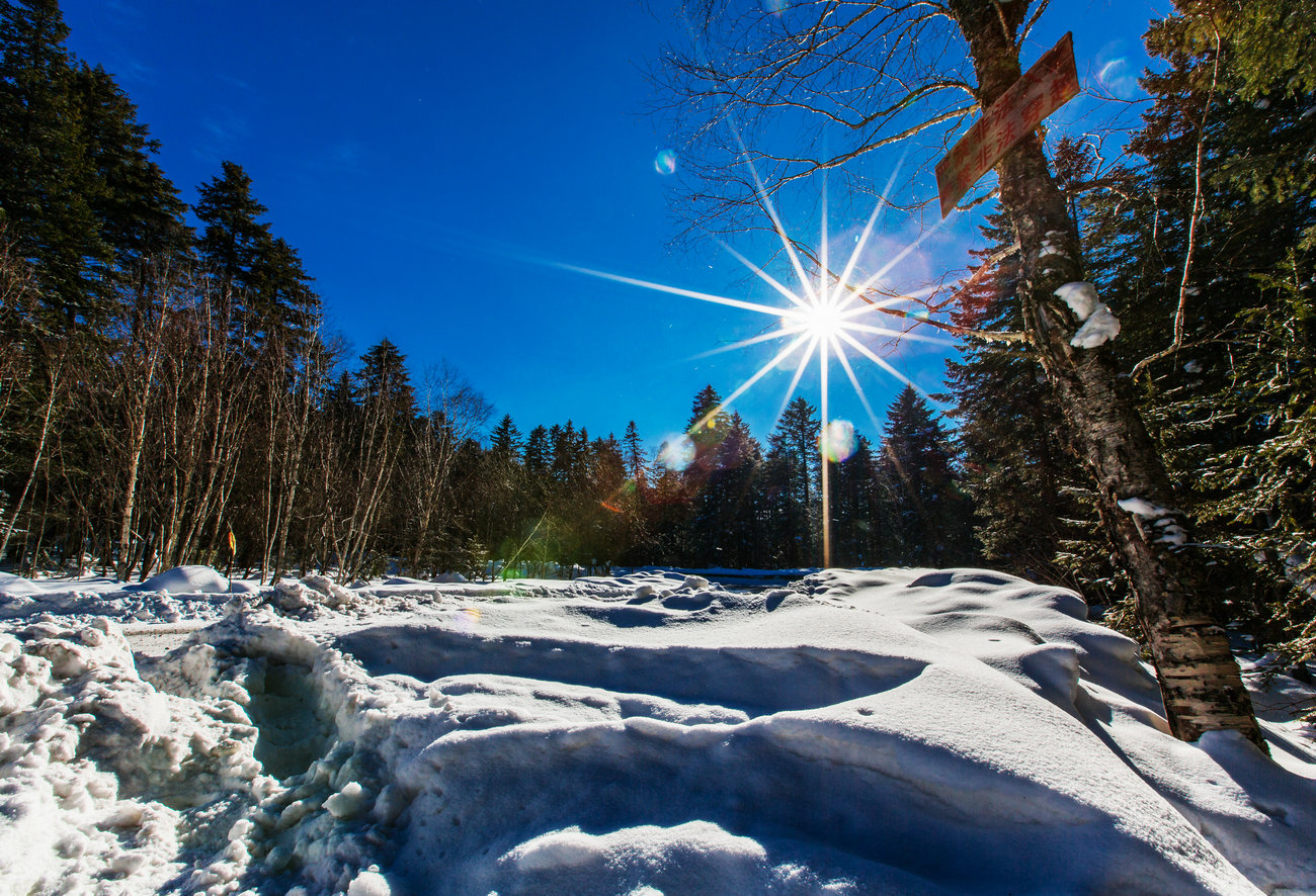 测评抗糖保健品,控制体重不长胖的产品