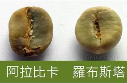 鍠濆挅鍟″拰绾㈢墰鑳藉噺鑲ュ悧,绾㈢墰鍜屽挅鍟″摢涓兘鍑忚偉