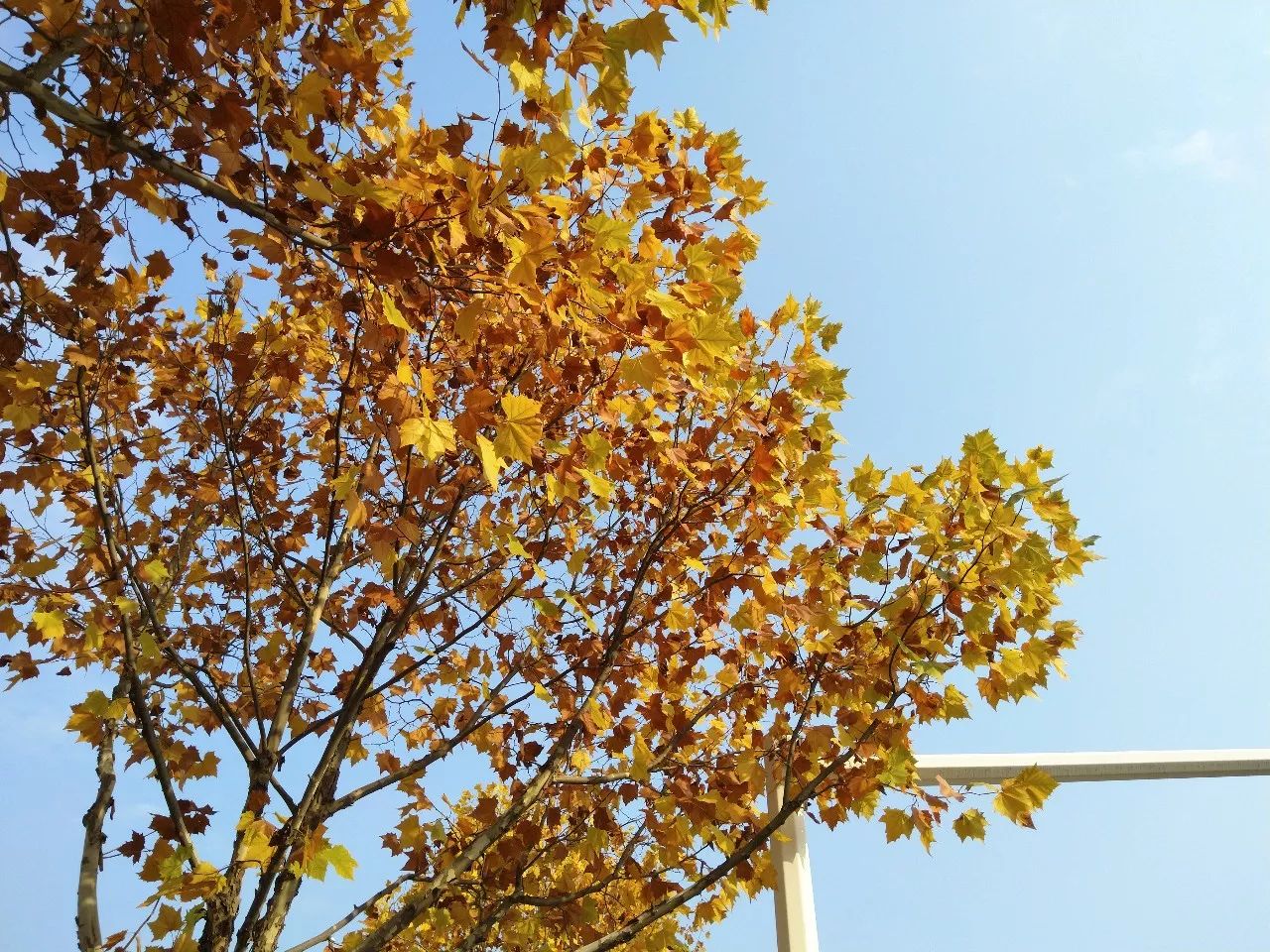 360n6评测吃鸡,360n6pro黑科技